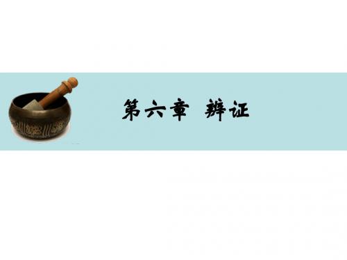 中医药学基础-第六章 辨证