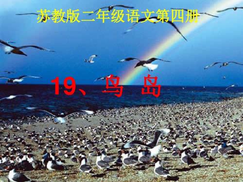 苏教版语文二下19.鸟岛