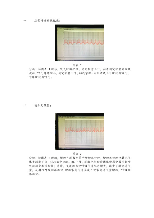 人体及动物生理学家兔的呼吸运动调节实验报告(结果与分析)