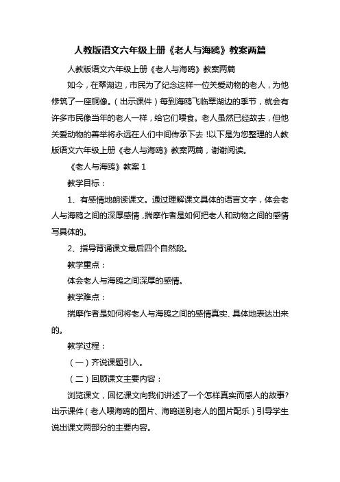 人教版语文六年级上册《老人与海鸥》教案两篇