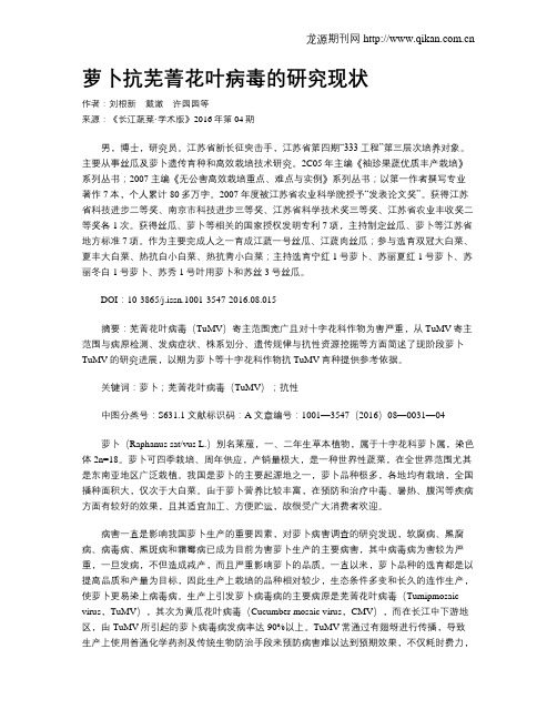 萝卜抗芜菁花叶病毒的研究现状