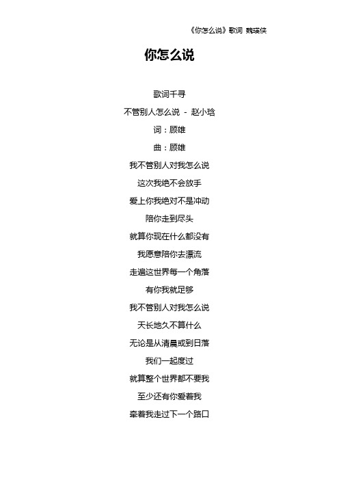 《你怎么说》歌词 魏瑛侠