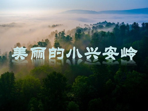  美丽的小兴安岭∣人教(部编版)PPT 优秀课件
