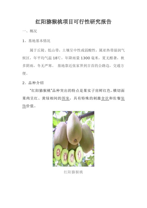 红阳猕猴桃项目可行性研究报告