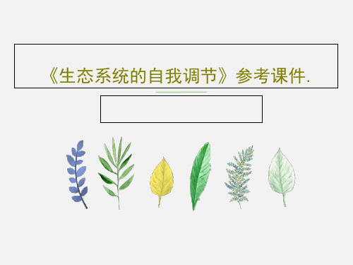 《生态系统的自我调节》参考课件.21页PPT