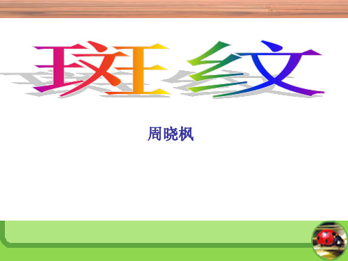 斑纹课件