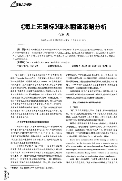 《海上无路标》译本翻译策略分析