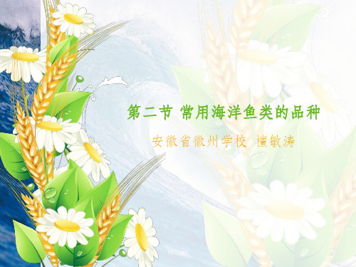 常见海洋鱼类的品种