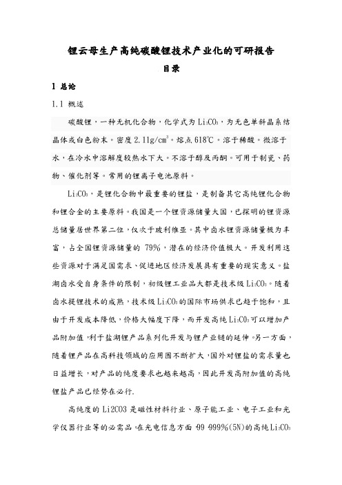 锂云母生产高纯碳酸锂技术产业化可行性实施计划书