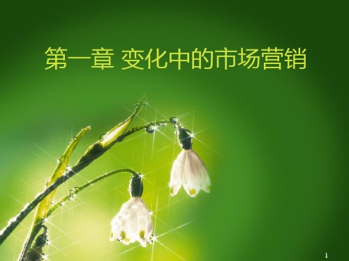 营销发展的几个阶段PPT课件