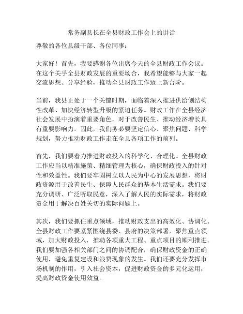 常务副县长在全县财政工作会上的讲话