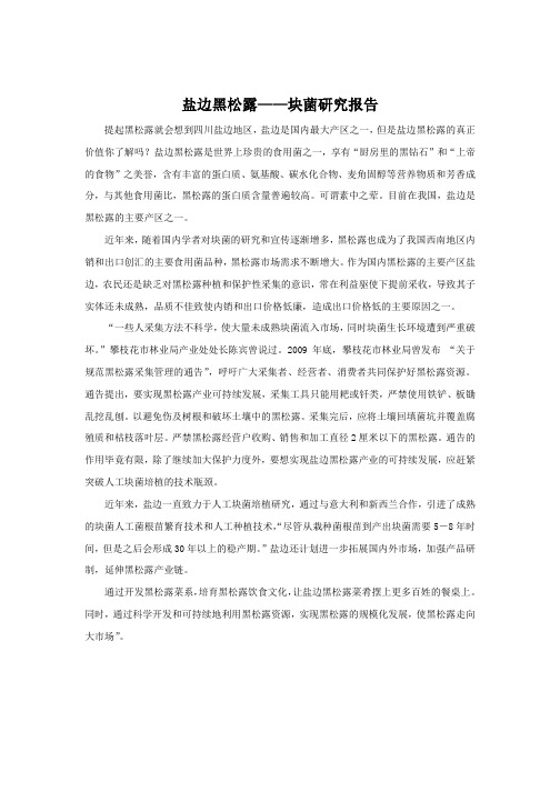 盐边黑松露——块菌研究报告