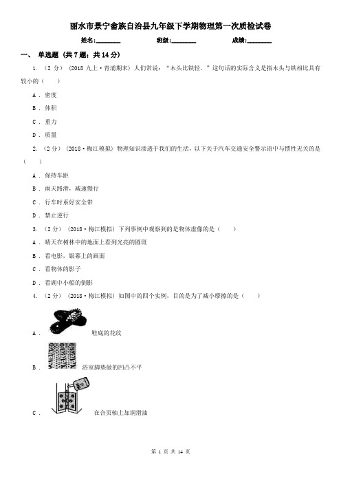 丽水市景宁畲族自治县九年级下学期物理第一次质检试卷