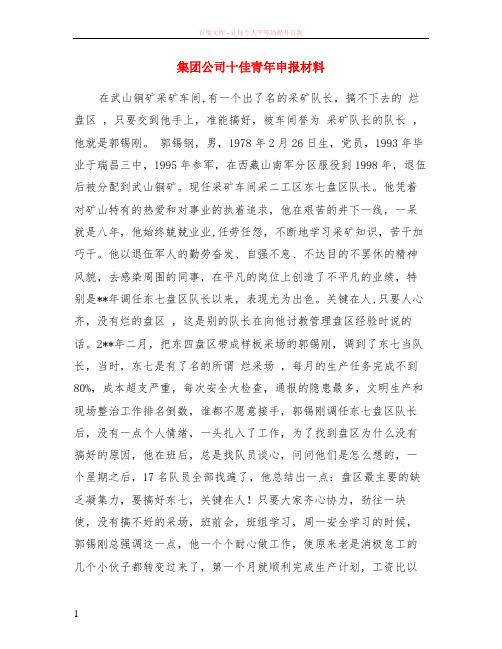集团公司十佳青年申报材料