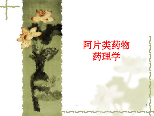 阿片类药物药理学 ppt