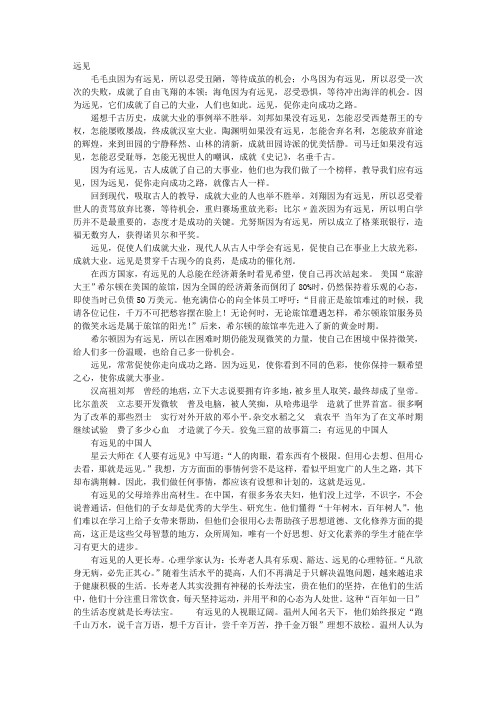 远见议论文