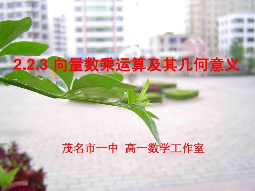 2.2.3_向量数乘运算及其几何意义