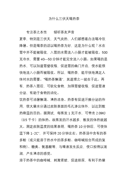 为什么三伏天喝热茶