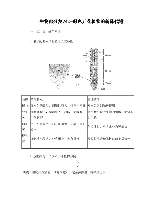 生物部分复习5-绿色植物的新陈代谢