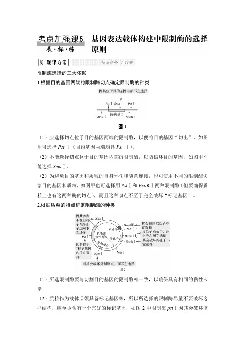 考点加强课5 基因表达载体构建中限制酶的选择原则