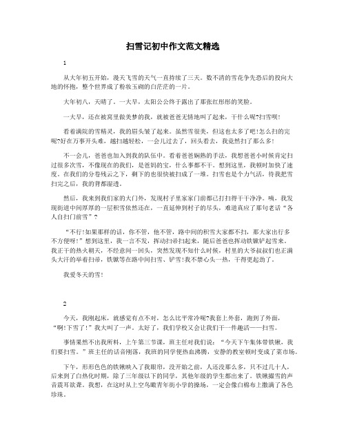 扫雪记初中作文范文精选