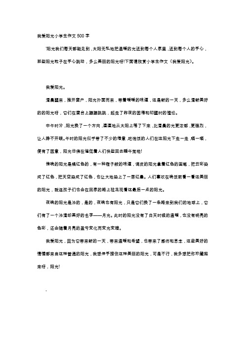 高中作文-我爱阳光小学生作文500字