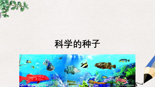 三年级语文下册《科学的种子》课件 北京版