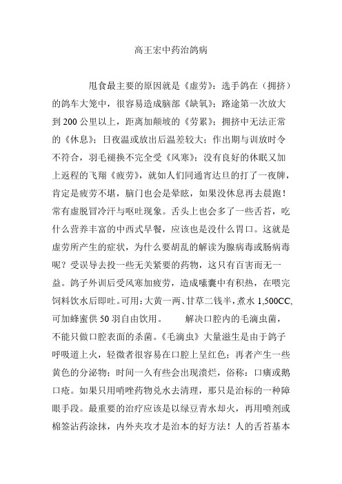 高王宏中药治鸽病