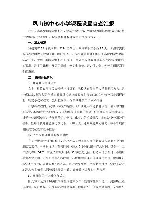 凤山镇中心小学课程设置自查汇报