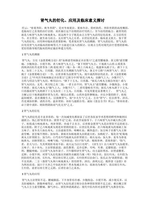肾气丸的衍化、应用及临床意义探讨