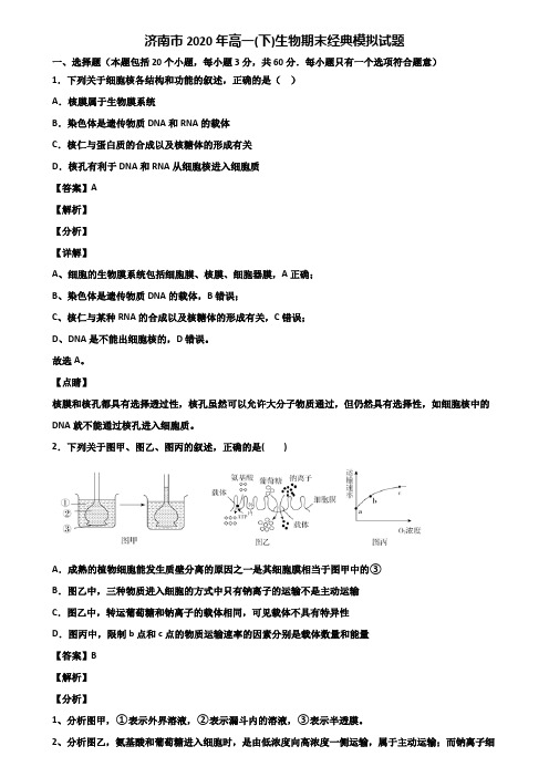济南市2020年高一(下)生物期末经典模拟试题含解析