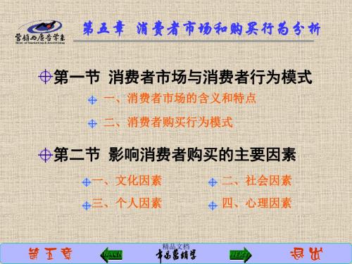 第五章-消费者市场和购买行为分析