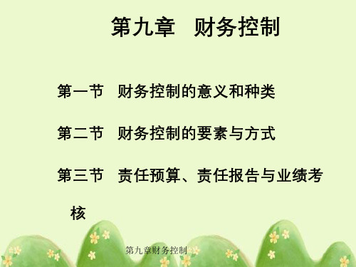 第九章财务控制