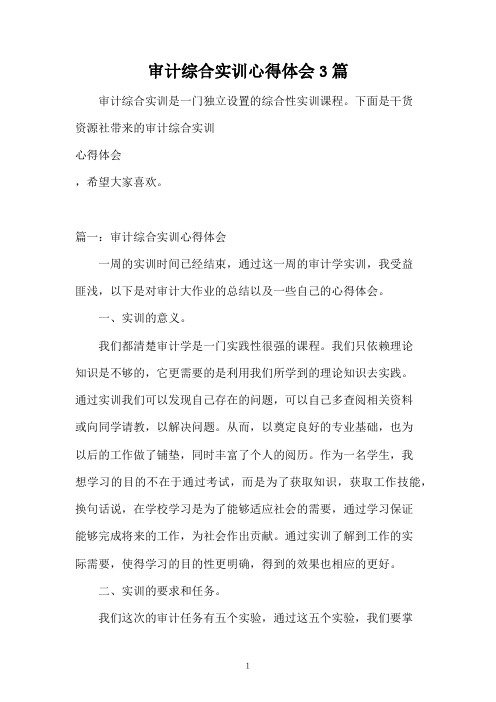 审计综合实训心得体会3篇