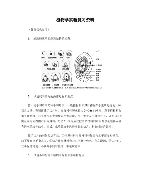 植物学实验考试复习资料(含答案)