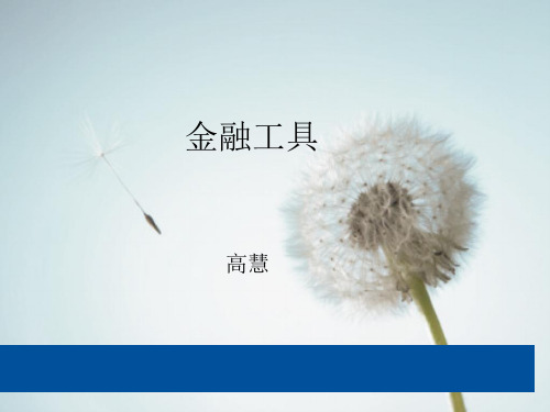 国资委班2013427金融工具新版课件