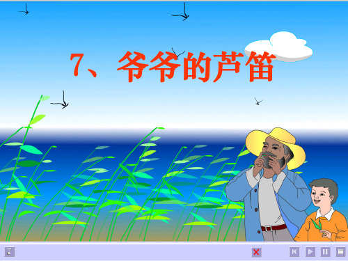 《爷爷的芦笛》课件