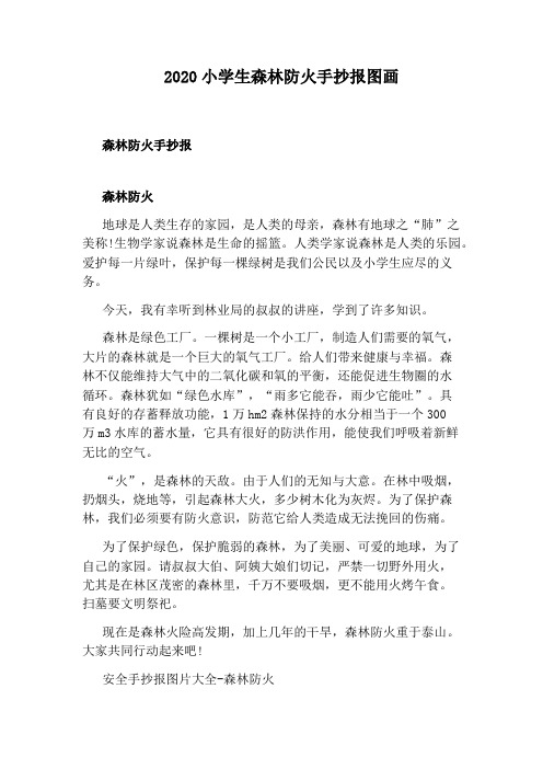 2020小学生森林防火手抄报图画