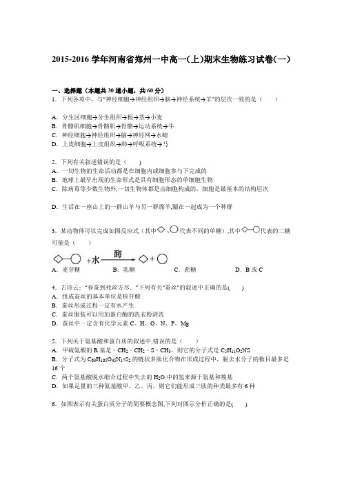 河南省郑州一中2015-2016学年高一上学期期末生物练习试卷(一) 含解析