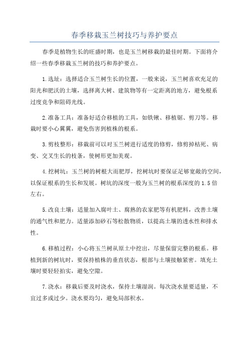 春季移栽玉兰树技巧与养护要点