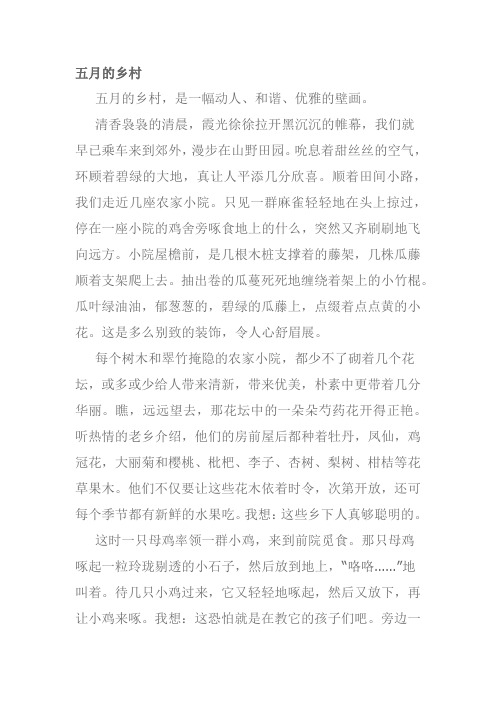 五月的乡村风景作文