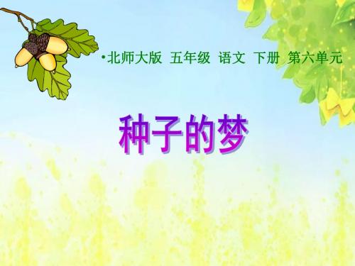 (北师大版)五年级语文下册课件_种子的梦_1(1)PPT、优质教学课件