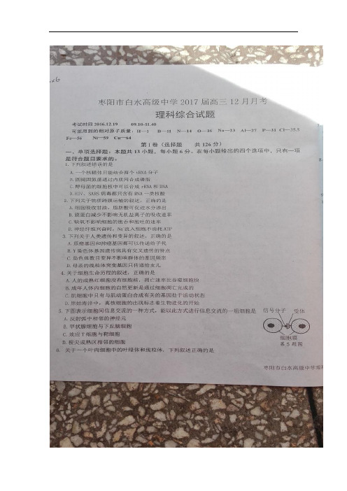 湖北省枣阳市白水高级中学2017届高三12月月考理科综合试题 扫描版含答案