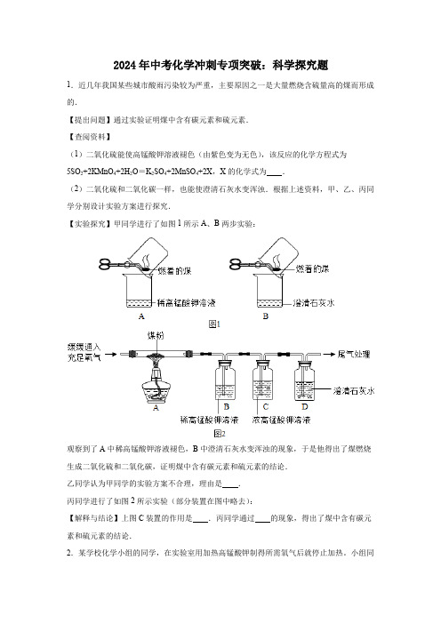 2024年中考化学冲刺专项突破科学探究题 初中化学 