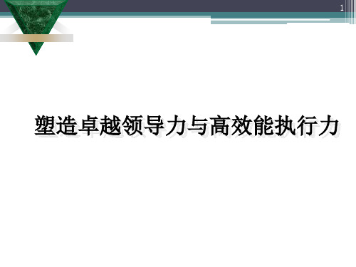 卓越领导力与高效能执行力