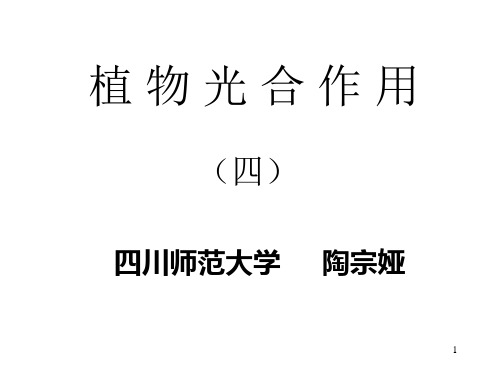 植物生理学3-4 光合碳同化
