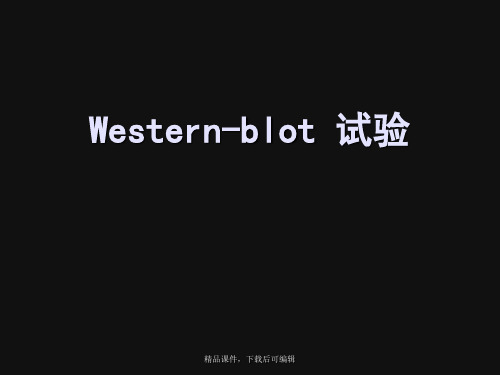 Western-blot实验方法步骤(精编课件).ppt