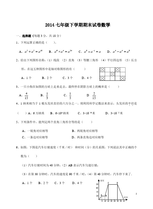 2014初一数学下册期末考试试卷及答案