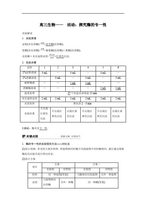 高三生物—— 活动：探究酶的专一性