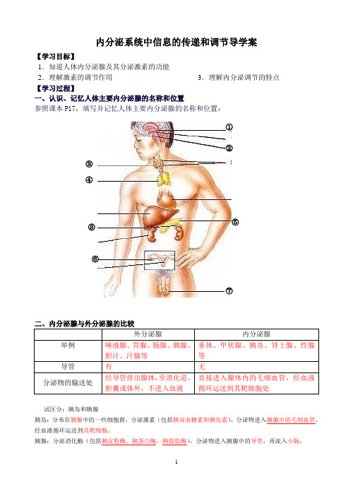 内分泌系统中信息的传递和调节导学案解读
